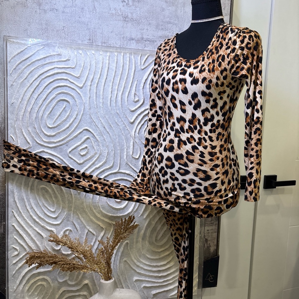 Leopard Print Long Sleeve Dress